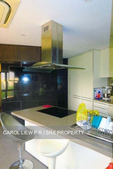 The Draycott (D10), Apartment #486899571
